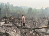 Photo of Polsek Toba Cek dan Padamkan Karhutla di Lahan Seluas 1 Hektare