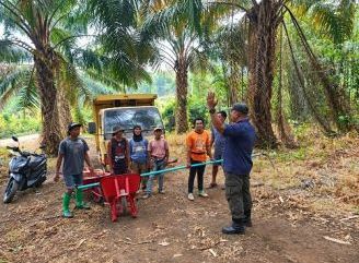 Panen Perdana di Lahan Sitaan PHK, Agrinas Gandeng Koperasi Garuda Kalbar Nusantara