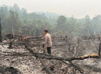 Polsek Toba Cek dan Padamkan Karhutla di Lahan Seluas 1 Hektare