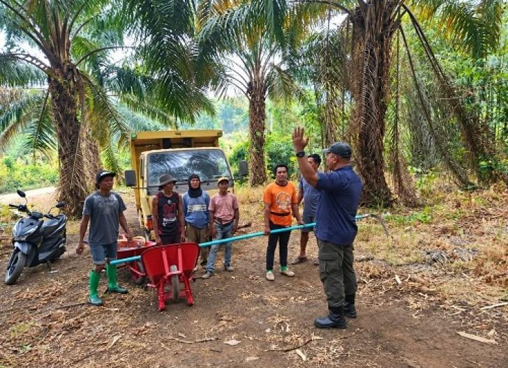 Photo of Panen Perdana di Lahan Sitaan PHK, Agrinas Gandeng Koperasi Garuda Kalbar Nusantara