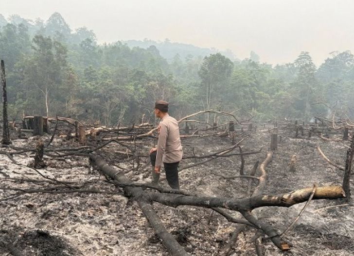 Photo of Polsek Toba Cek dan Padamkan Karhutla di Lahan Seluas 1 Hektare
