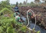 Photo of Total Luasan Karhutla di Singkawang Mencapai 119,37 Hektare