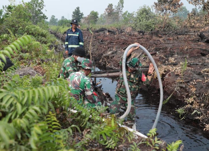 Photo of Total Luasan Karhutla di Singkawang Mencapai 119,37 Hektare