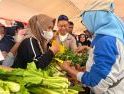 CFD Pontianak Kembali Ramai Diserbu Warga, Dua Bulan Ditutup Akibat Asap Karhutla