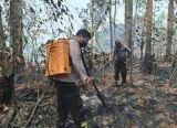 Photo of Api Berhasil Dipadamkan, Polsek Kapuas Perkuat Pemantauan Karhutla di Kecamatan Kapuas