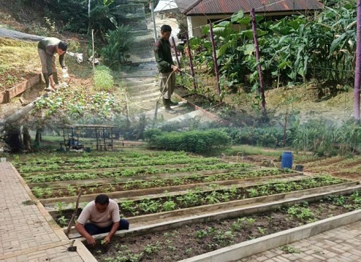 Photo of Rawat P2L, Brimob Kalbar Ikut Perkuat Ketahanan Pangan dari Lingkungan Mako