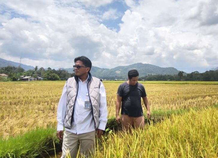 Photo of Pengadaan Beras Melampaui 4 Juta Ton, BULOG Cetak Rekor Sepanjang Sejarah