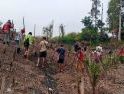 Bersama Petani, Polsek Tayan Hilir Optimalkan 2,5 Hektare Lahan untuk Jagung