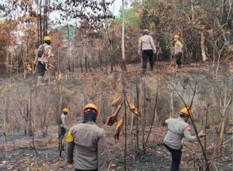 Cegah Karhutla Berulang, Brimob Kalbar Pantau Lahan Bekas Terbakar di Sintang
