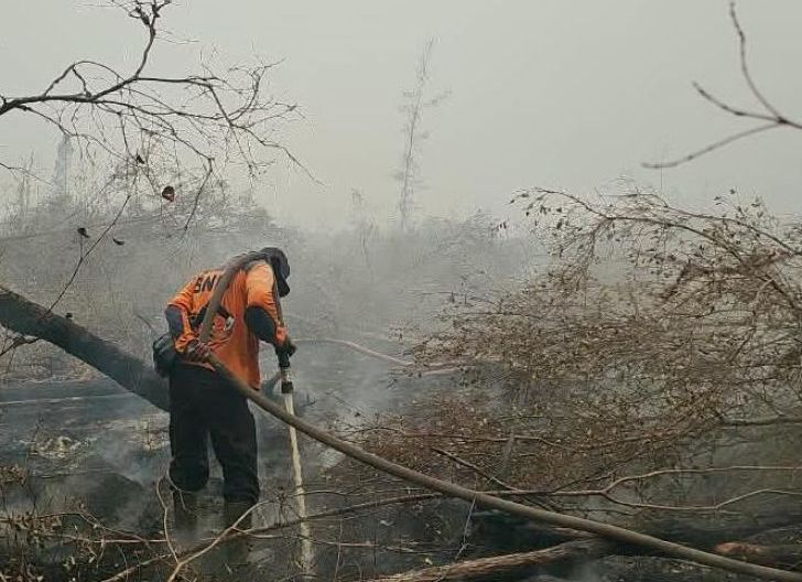 Photo of Hot Spot Nasional Turun, Bukti Nyata Kerja Keras Pemerintah Mengendalikan Karhutla