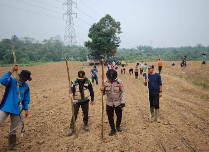 Photo of Tanam 2 Hektare Jagung Hibrida, Polsek Tayan Hulu Perkuat Gerakan Ketahanan Pangan