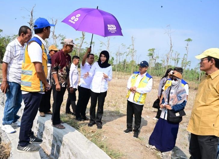 Photo of Wakil Ketua DPR Sari Yuliati Dorong Penambahan Program Irigasi untuk Perkuat Lumbung Pangan NTB