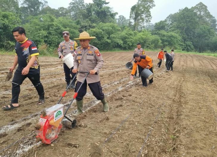 Photo of Tanam 3 Hektare Jagung, Polsek Sekayam Perkuat Dukungan terhadap Ketahanan Pangan