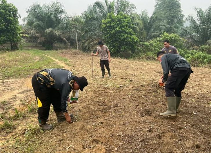 Photo of Tanam Jagung di Lahan Demplot, Polsek Tayan Hilir Perkuat Ketahanan Pangan