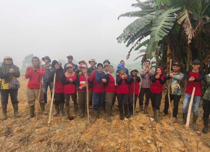 Photo of Jagung Hibrida BISSI-2 Mulai Ditanam, Polsek Meliau Dukung Pangan Berkelanjutan