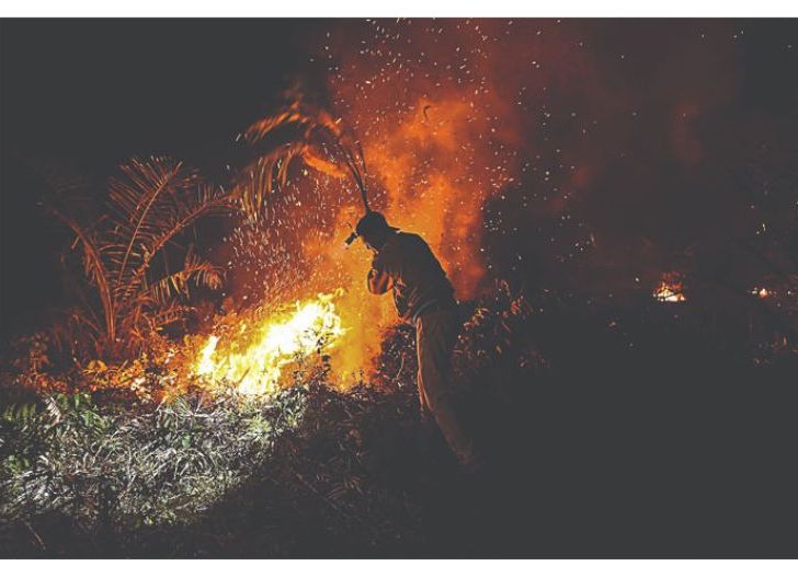 Photo of Empat Perusahaan Sinar Mas Group Picu Karhutla