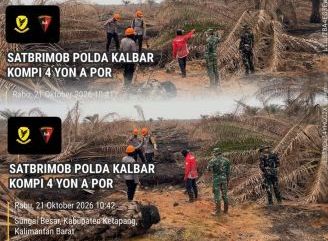 Tim Gabungan Sisir Lahan Bekas Terbakar di Ketapang, Antisipasi Karhutla Berulang