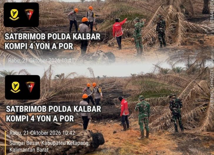 Photo of Tim Gabungan Sisir Lahan Bekas Terbakar di Ketapang, Antisipasi Karhutla Berulang