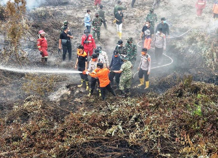 Photo of Penanganan Karhutla Terus Diintensifkan, Pemerintah Perkuat Koordinasi Lapangan