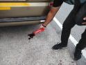Seorang Pria Tewas Usai Duel di Pinggir Jalan Singkawang Selatan, Polisi Berhasil Amankan Terduga Pelaku