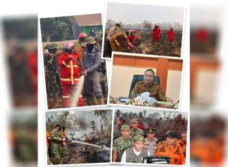 Karhutla di Ketapang: Kendala Pemadaman, Krisis Air Bersih, dan Ikhtiar yang Dilakukan Pemerintah