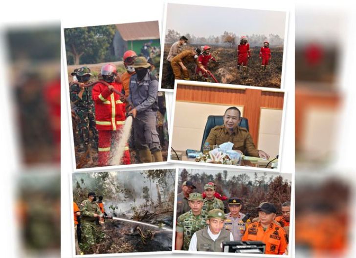 Photo of Karhutla di Ketapang: Kendala Pemadaman, Krisis Air Bersih, dan Ikhtiar yang Dilakukan Pemerintah