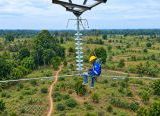 Photo of HLN ke-81: PLN Perkuat Peran Listrik sebagai Penggerak Kehidupan dan Kemandirian Bangsa