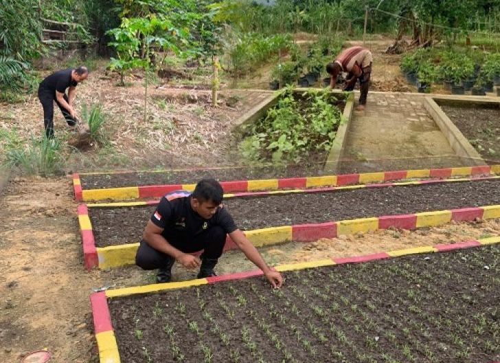 Photo of Manfaatkan Lahan Kosong, Brimob Kalbar Rawat Tanaman P2L untuk Perkuat Ketahanan Pangan