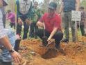 Gubernur Kalbar Tanam Pohon di Pantai Kura-Kura, Perkuat Mitigasi Lahan Terbakar dan Pemberdayaan Pesisir