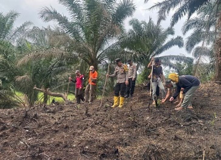 Photo of Tingkatkan Ketahanan Pangan, Polsek Bonti Bersama Petani Tanam Jagung Hibrida